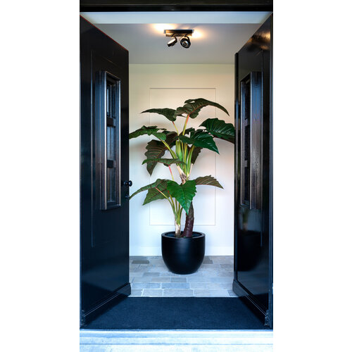 Luca lifestyle New egg pot Argento 36 - Zwart