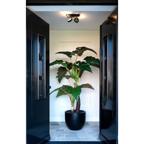 Luca lifestyle New egg pot Argento 45 - Zwart