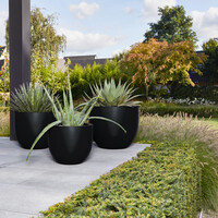 Luca lifestyle New egg pot Argento 45 - Zwart