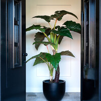 Luca lifestyle New egg pot Argento 65 - Zwart