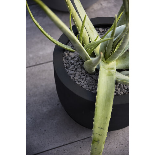 Luca lifestyle New egg pot Argento 65 - Zwart