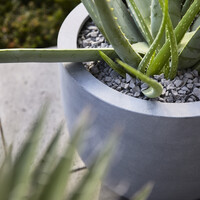 Luca lifestyle New egg pot Argento 45 - Grijs