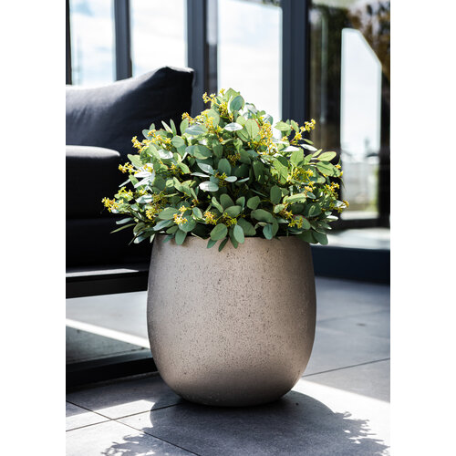 Luca lifestyle Metallic balloon 55 Grigio - Champagne