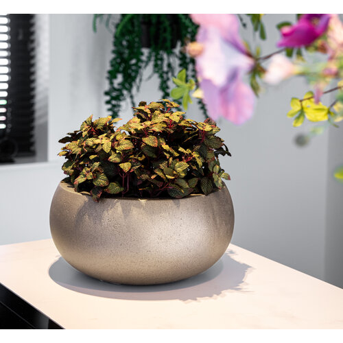 Luca lifestyle Metallic Low balloon 73 Grigio - Champagne