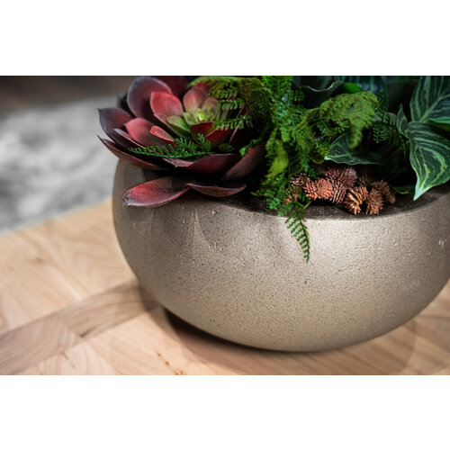 Luca lifestyle Metallic Low balloon 73 Grigio - Champagne