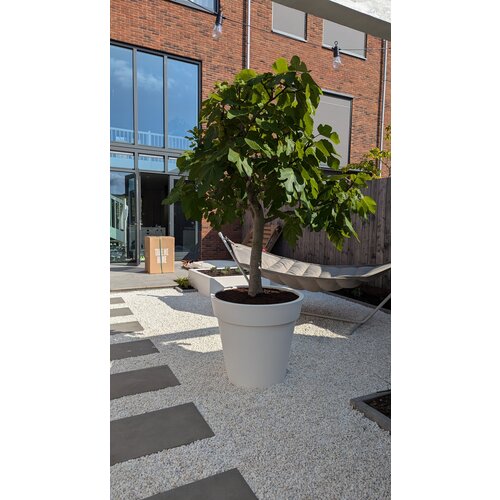 Plantenbak Daan 80 | Wit