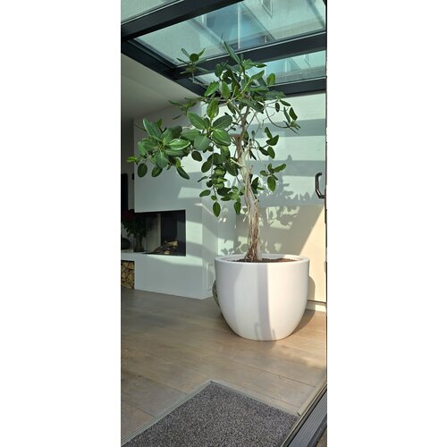 Plantenbak Veerle 80 wit