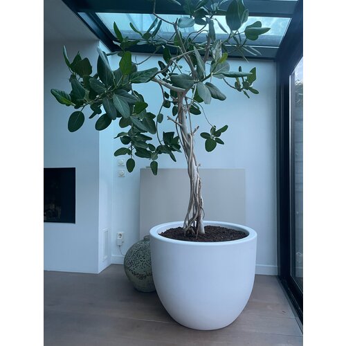 Plantenbak Veerle 80 wit