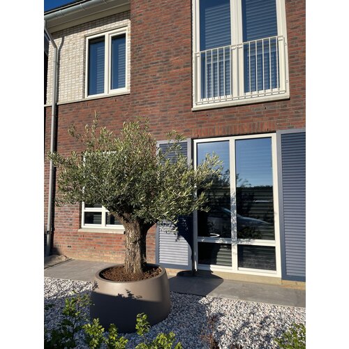 Plantenbak Koert 95| Taupe