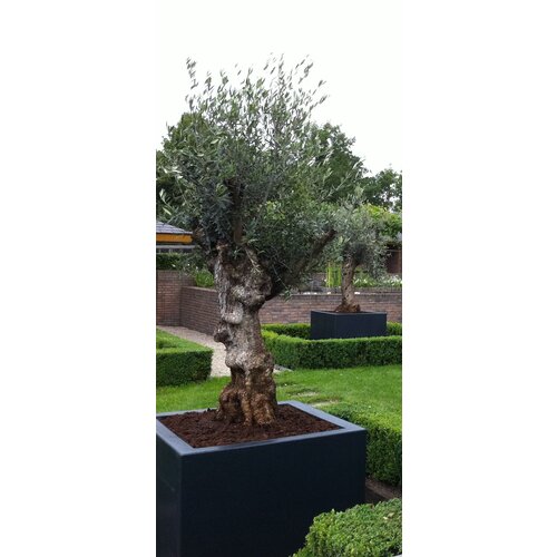 Adezz Polyester plantenbak Carrez 150x40x40 cm | Antraciet-zwart