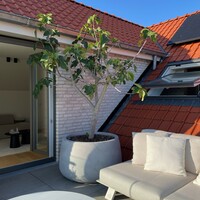 Plantenbak Koert 80 | Greystone