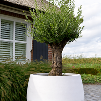 Plantenbak Koert 95 | Wit