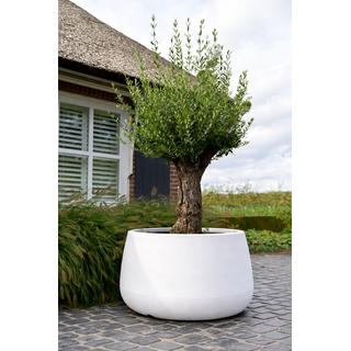 Plantenbak Koert 95 | Wit