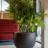 Pottery Pots Jumbo Orb, S - Zwart