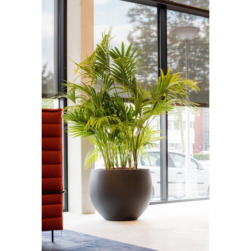 Pottery Pots Jumbo Orb, L - Zwart