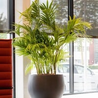 Pottery Pots Jumbo Orb, M - Zwart