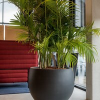 Pottery Pots Jumbo Orb, S - Grijs