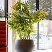 Pottery Pots Jumbo Orb, L - Grijs