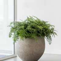 Pottery Pots Jumbo Orb, S - Beige Washed