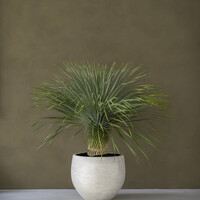 Pottery Pots Jumbo Orb, XXS - Ivory Washed