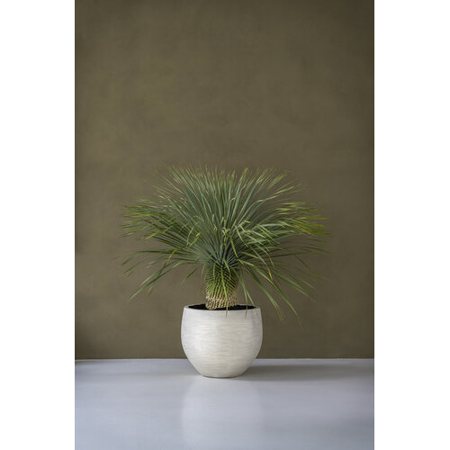 Pottery Pots Jumbo Orb, M - Ivory Washed