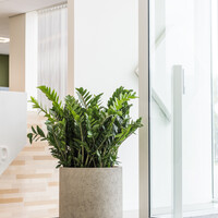 Pottery Pots Jumbo Charlie, XS - Beige Washed