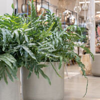 Pottery Pots Jumbo Charlie, M - Beige Washed