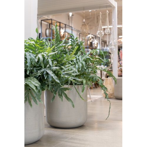 Pottery Pots Jumbo Charlie, M - Beige Washed