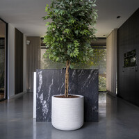 Pottery Pots Jumbo Charlie, M - Ivory Washed