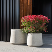 Pottery Pots Jumbo Patt, XXS - Beige Washed