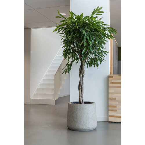 Pottery Pots Jumbo Patt, XS - Beige Washed