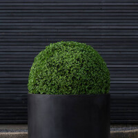 Pottery Pots Jumbo Max mid high, XL - Zwart