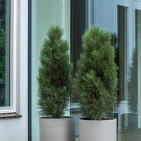 Pottery Pots Max, M - Clouded Grey