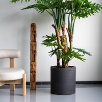 Pottery Pots Max, M - Black Washed