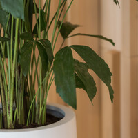 Pottery Pots Nax, L - Wit