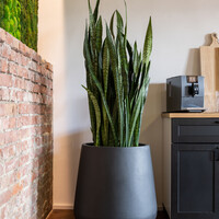 Pottery Pots Pax, M - Zwart