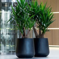 Pottery Pots Pax, M - Zwart