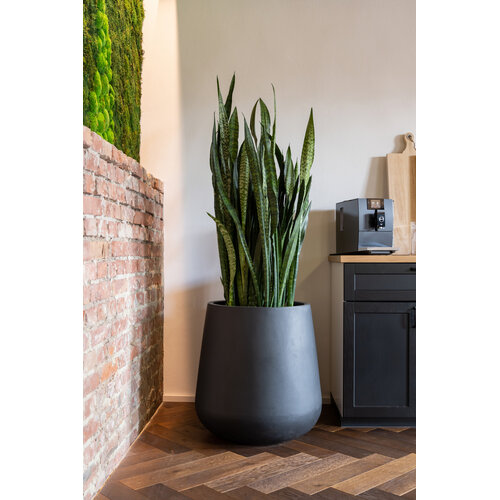 Pottery Pots Pax, XL - Zwart