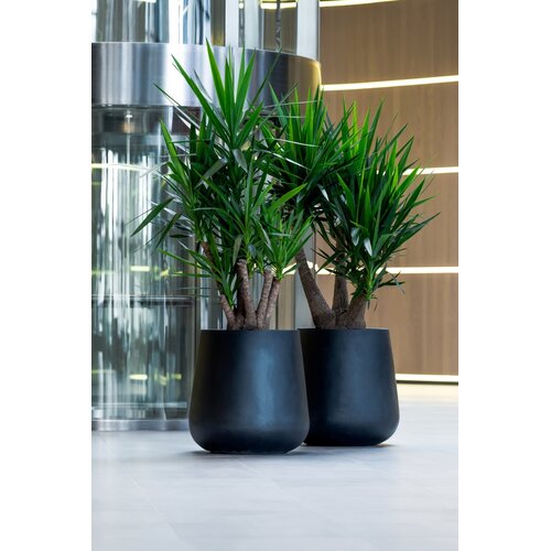 Pottery Pots Pax, XL - Zwart