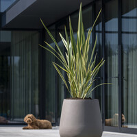 Pottery Pots Pax, XL - Taupe