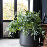 Pottery Pots Patt, S - Zwart