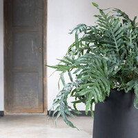 Pottery Pots Patt, M - Zwart