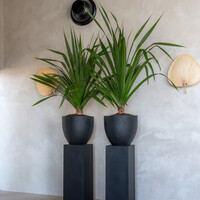 Pottery Pots Jesslyn, XS - Zwart