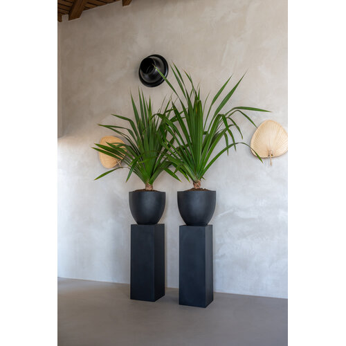 Pottery Pots Jesslyn, L - Zwart