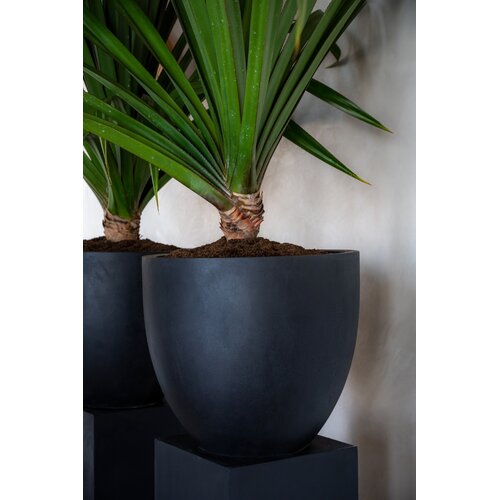 Pottery Pots Jesslyn, L - Zwart