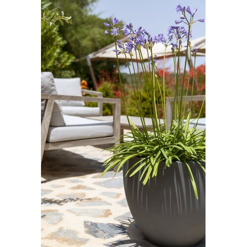 Pottery Pots Jesslyn, XS - Grijs