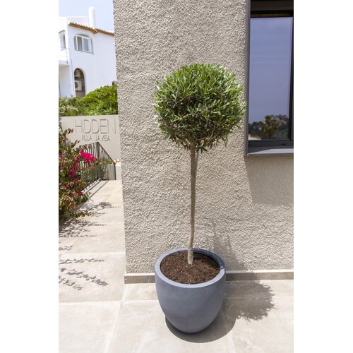 Pottery Pots Jesslyn, M - Grijs