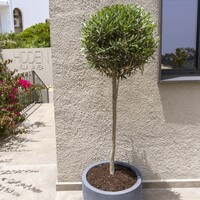 Pottery Pots Jesslyn, L - Grijs