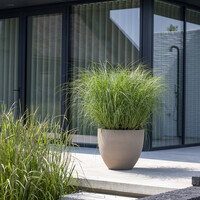 Pottery Pots Jesslyn, L - Taupe