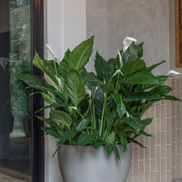 Pottery Pots Jesslyn, S - Clouded grey